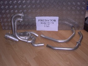 Predator...or is it a Motad?